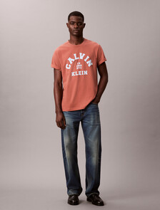 Varsity Logo Graphic Relaxed T-Shirt, Warm Brick, hi-res