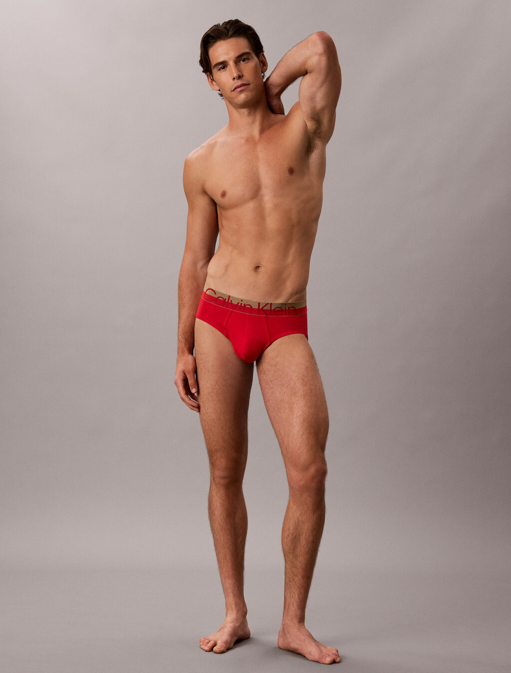 Brushed Microfiber Stretch Metallic Hip Brief, GOJI BERRY W/ BRONZE WB, hi-res