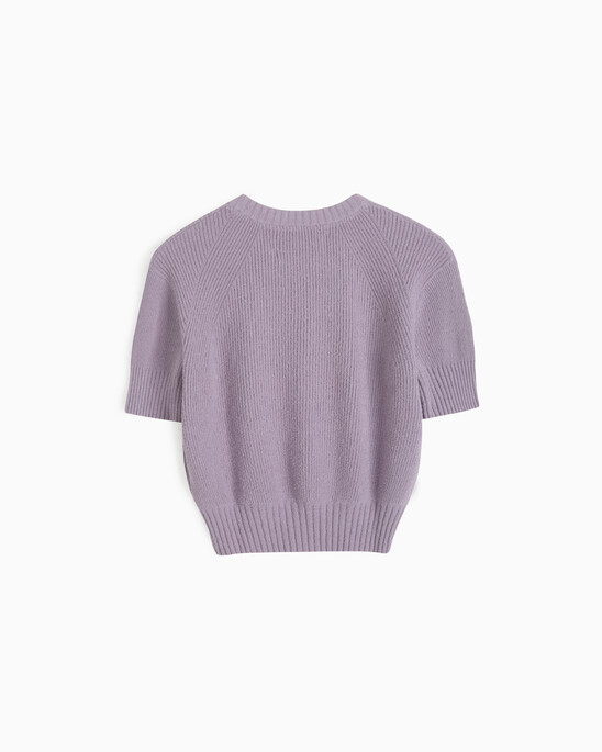 Feminine Chenille Short Sleeve Sweater
