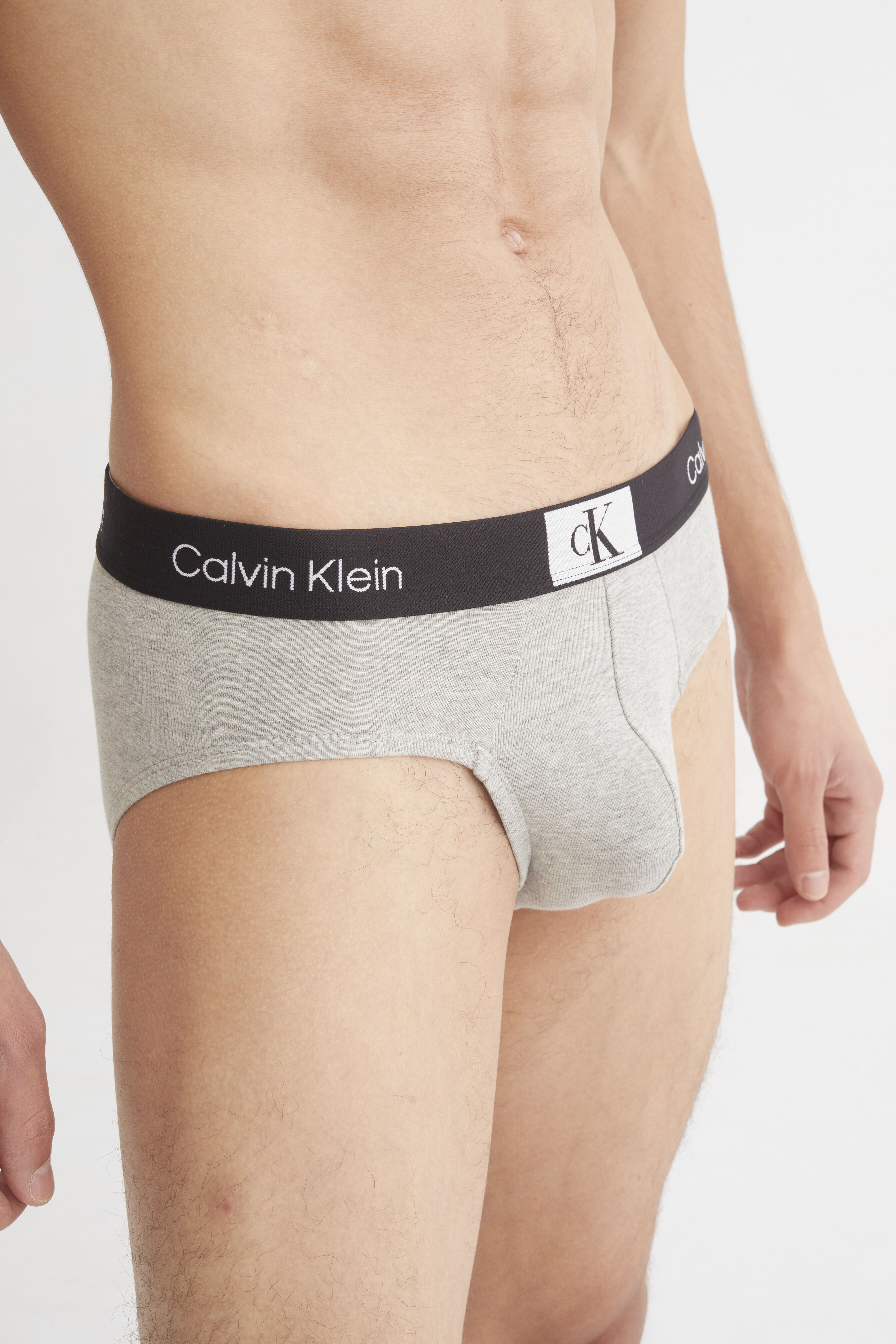 Calvin klein hotsell grey briefs