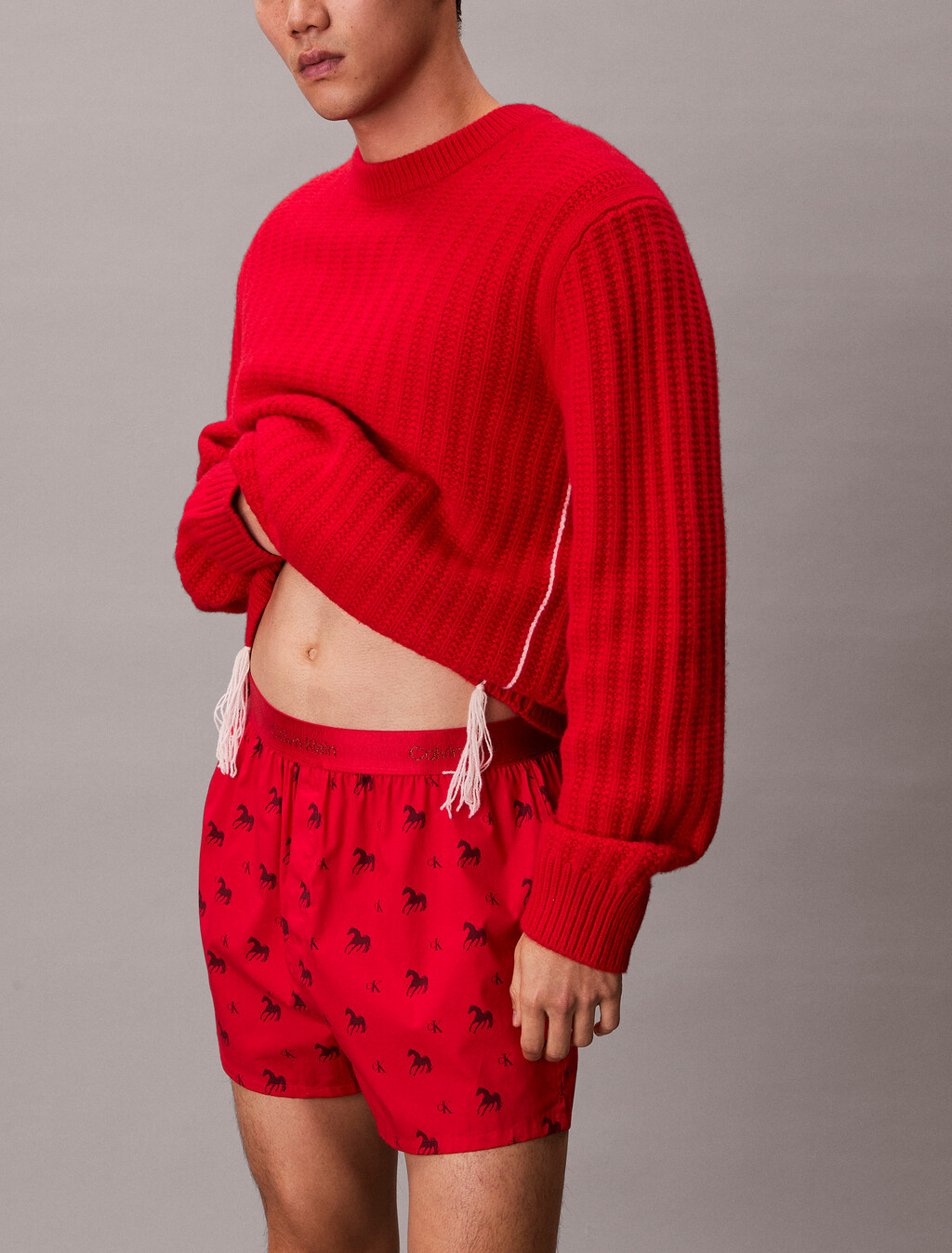 Lunar New Year Slim Boxer, Untamed Horses_Rouge, hi-res