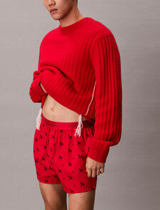 Lunar New Year Slim Boxer, Untamed Horses_Rouge, hi-res