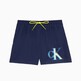 Navy Iris