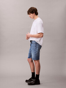 Standard Denim Short, VINTAGE TIDE, hi-res