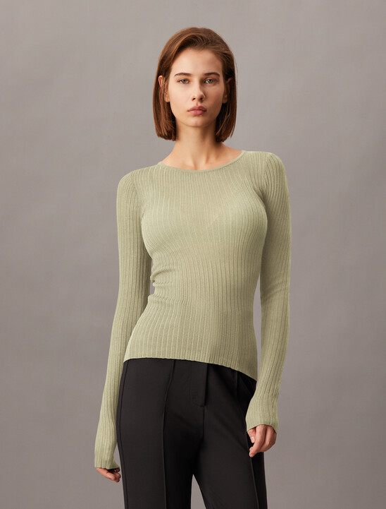 Sheer Long Sleeve Sweater