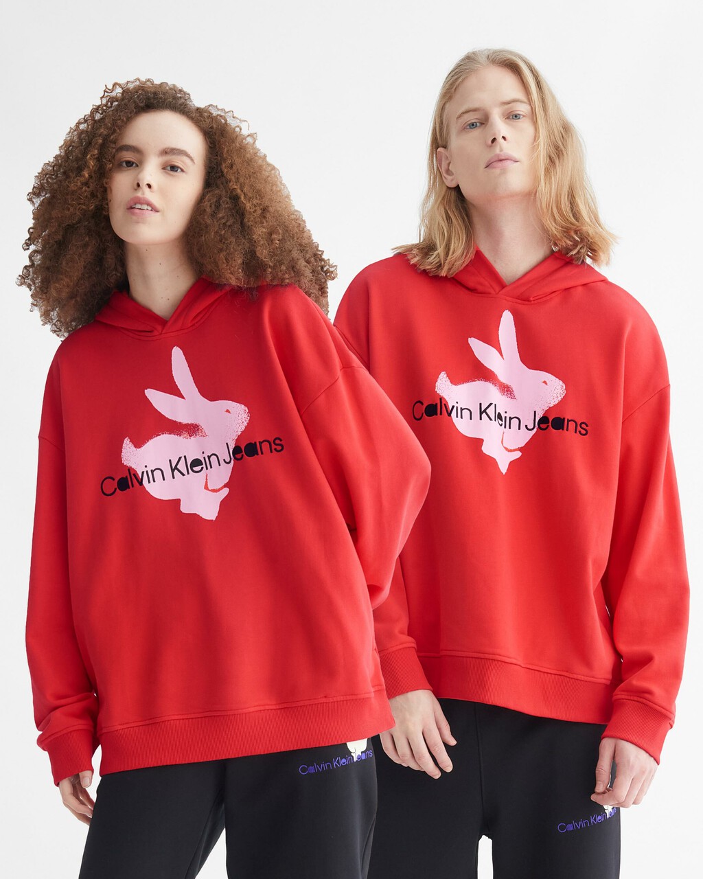 Year Of The Rabbit Hoodie, FLAME SCARLET, hi-res