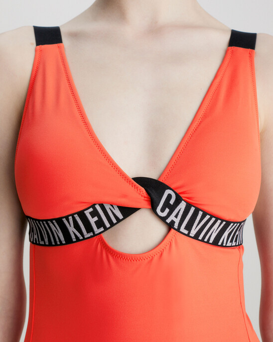 Intense Power Plunge Swimsuit