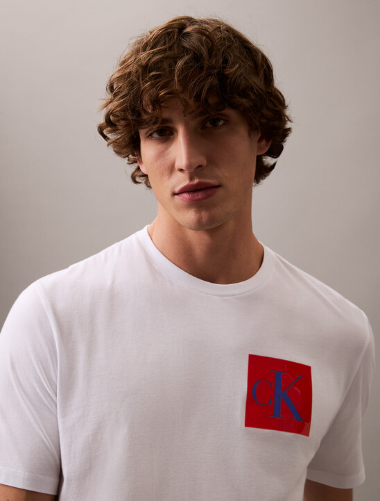 Box Graphic Print Regular Cotton Tee