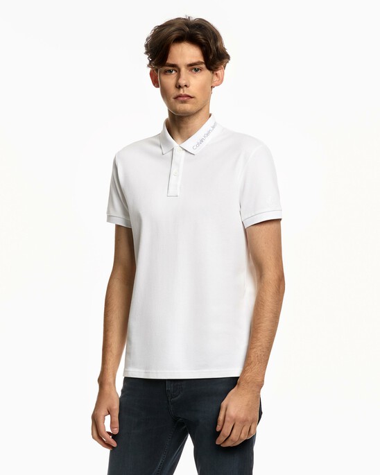 INSTITUTIONAL POLO