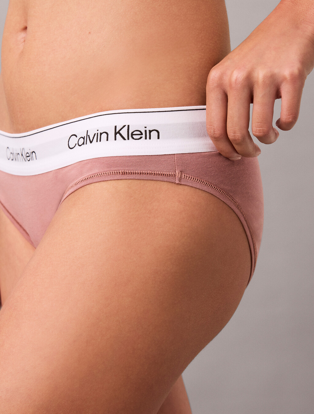 Icon Cotton Modal - 2 Pack Bikini Briefs, Soft Sable/Silver Peony, hi-res