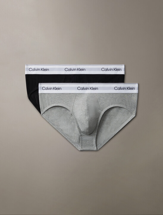 2 Pack Icon Cotton Stretch Hipster Briefs