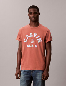 Varsity Logo Graphic Relaxed T-Shirt, Warm Brick, hi-res