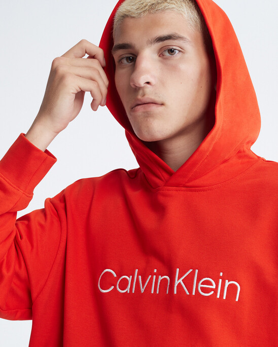 HERO LOGO TERRY HOODIE
