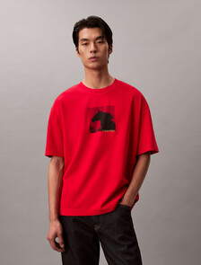 Lunar New Year Heavyweight Jersey Tee, Pantone Red, hi-res