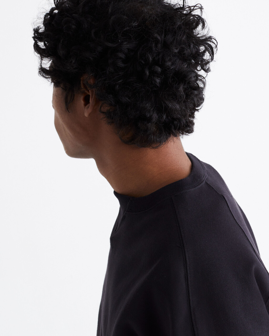 Standards Fleece Crewneck Sweatshirt, BLACK BEAUTY-00, hi-res