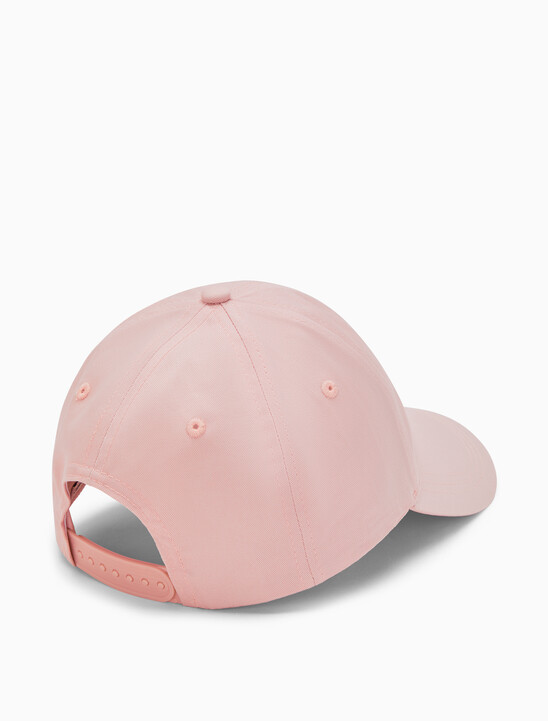 Institutional Baseball Cap