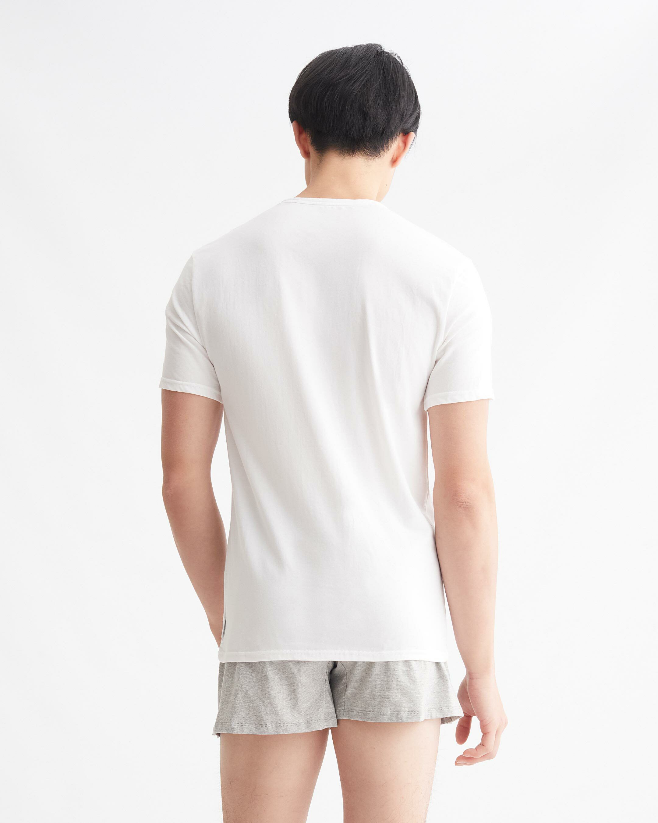 Modern Cotton Stretch Crew Neck T Shirts 2 Pack white Calvin