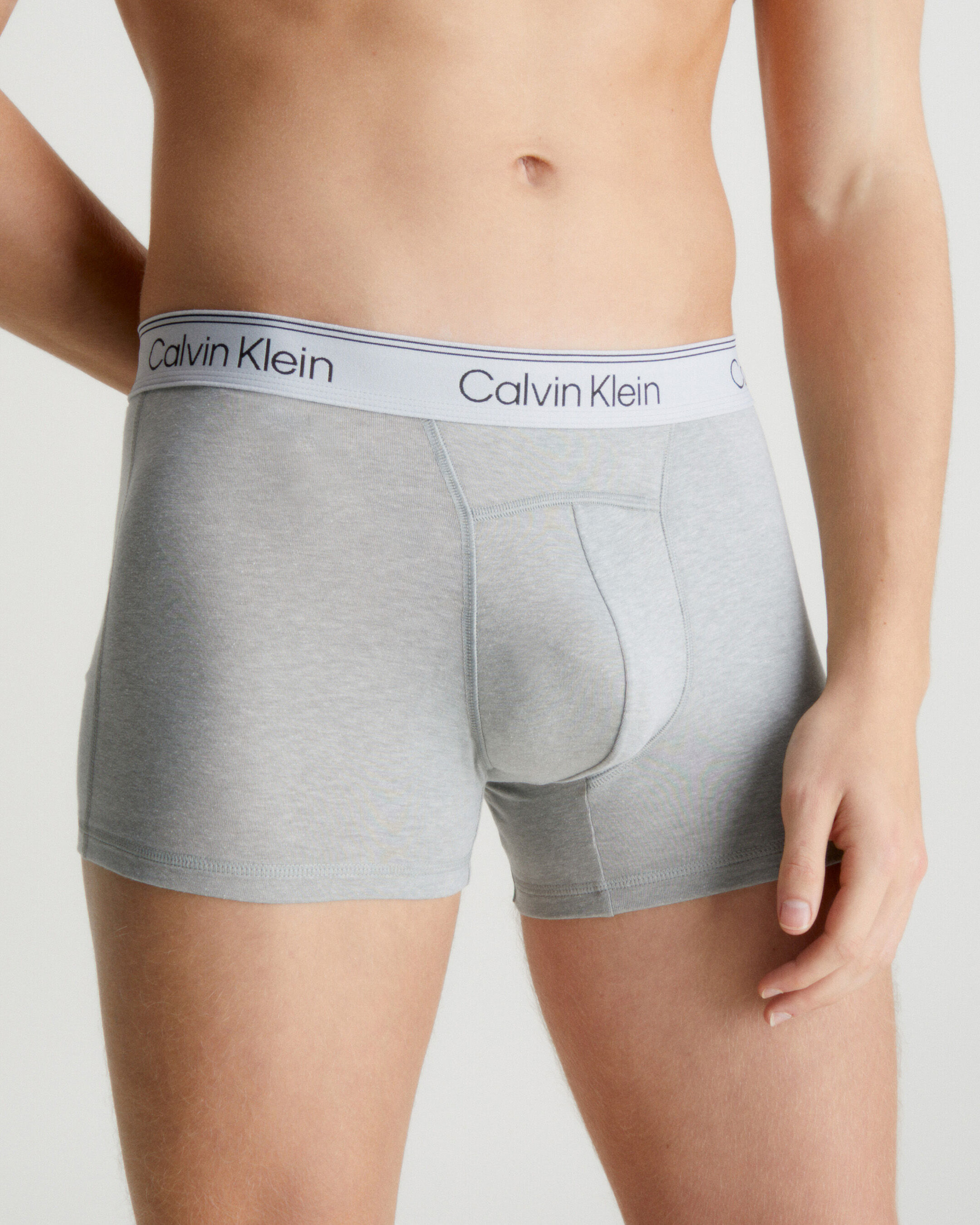Calvin klein mens discount briefs sale