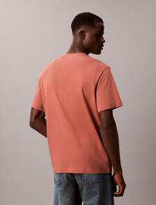 Varsity Logo Graphic Relaxed T-Shirt, Warm Brick, hi-res