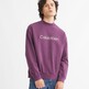 Shadow Purple