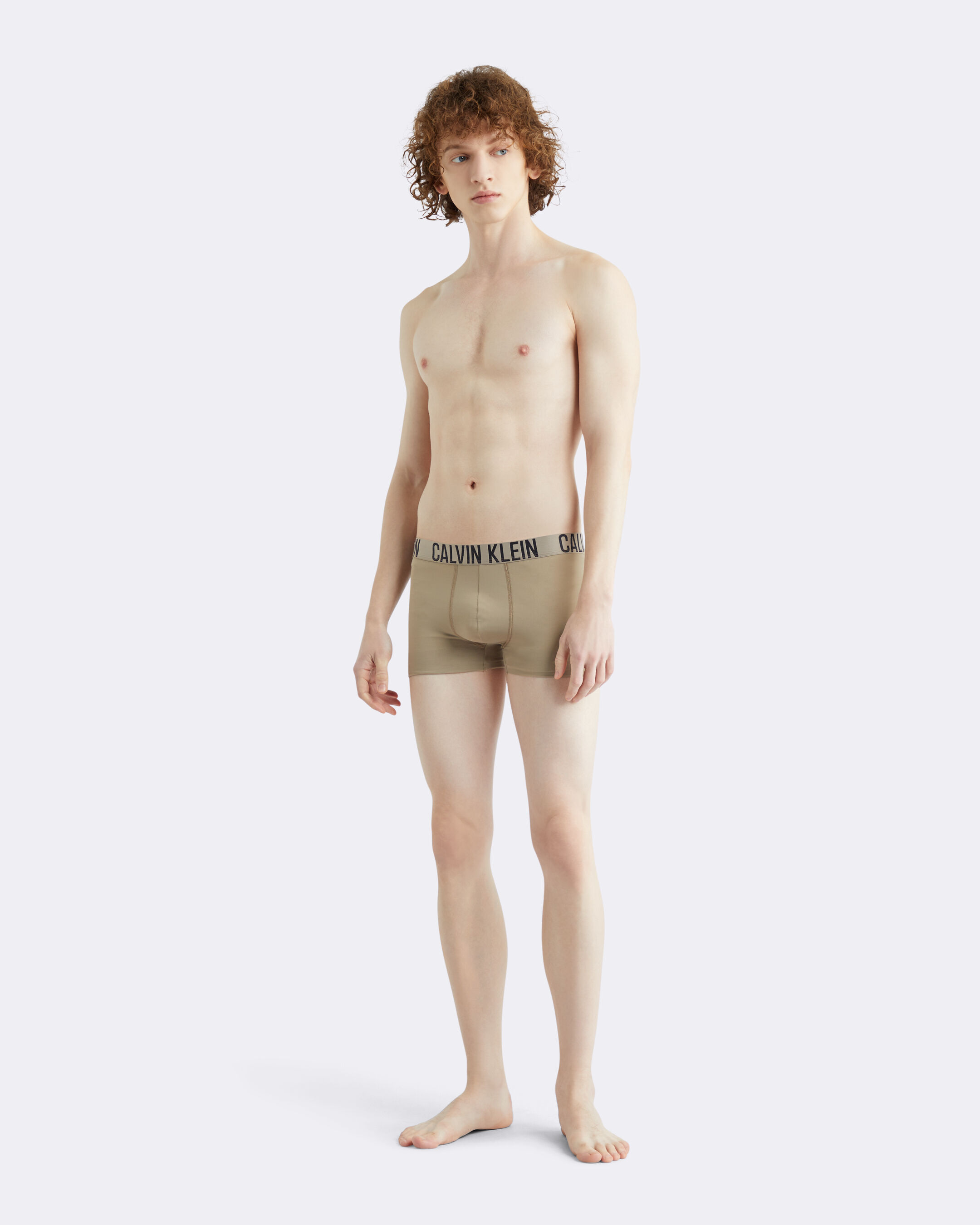 Intense Power Ultra Support Trunks green Calvin Klein Singapore