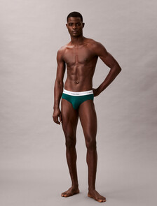 Icon Cotton Stretch Hip Briefs 3 Pack, Turf/Logo Split Stripe+Srout Green/Frozen Fjord, hi-res
