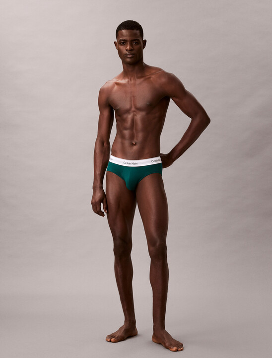 Icon Cotton Stretch Hip Briefs 3 Pack