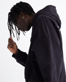 Standards Fleece Hoodie, BLACK BEAUTY-00, hi-res